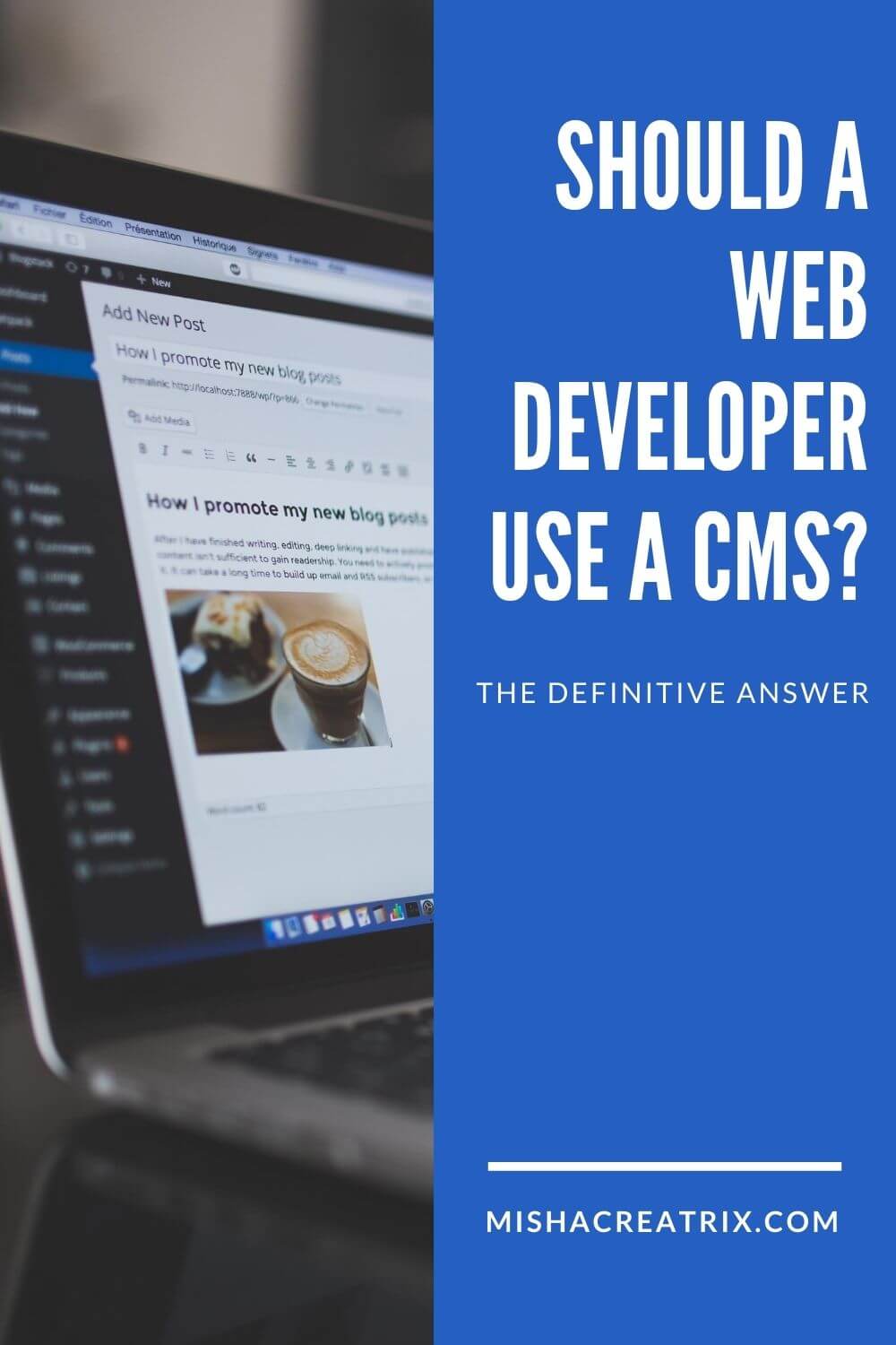 Should A Web Developer Use A CMS - Pin